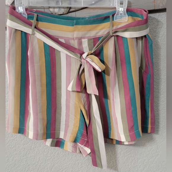 RAILS Gigi Farrah Stripe Belted 100%  Silk Shorts Size M - Picture 4 of 15